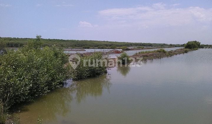 Industri Tanah Kendal Patebon 36 Ha Darat Air Murah Strategis Kawasan Industri Jawa Tengah Semarang