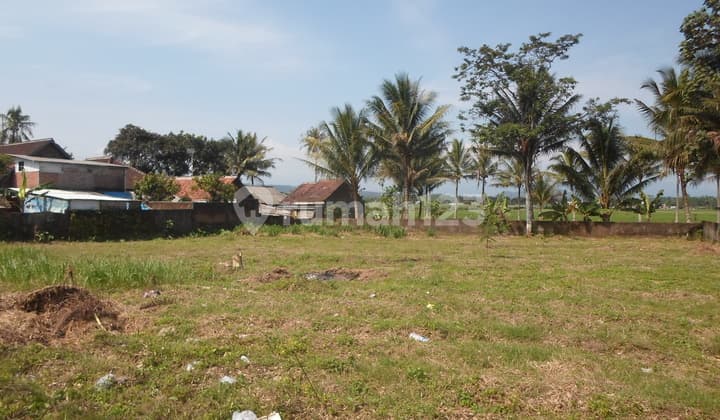 Tanah Nol Jalan Tamabakasri Tajinan Malang