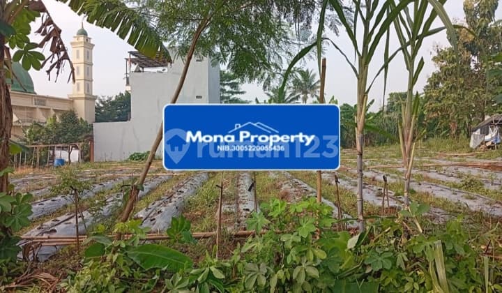 For Sale. Quick Land In Nanggewer Cibinong