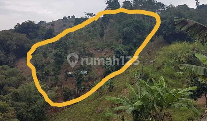 Di Jual Tanah SHM 6604m² Dekat Resort Dago Pakar