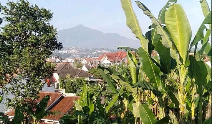 Tanah Murah Dekat Undip (Lingkungan Kos )