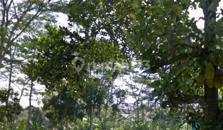 Kavling Siap Bangun Bagus Murah Ramai Kavling Siap Bangun Bagus Murah Ramai