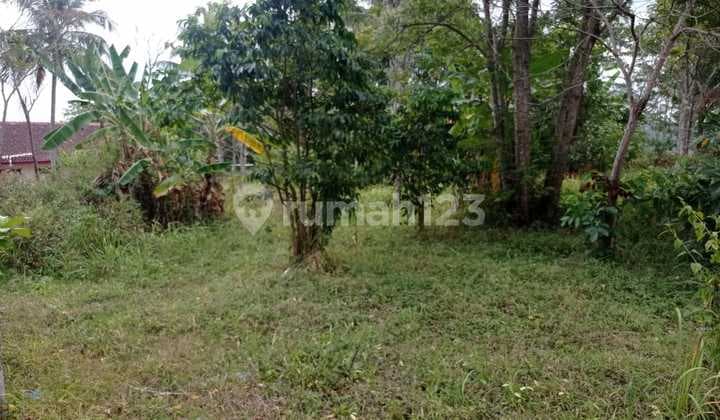 Jual Tanah Strategis Pinggir Jalan Provinsi.cocok Utk Cluster Atau Usaha Kulineran.