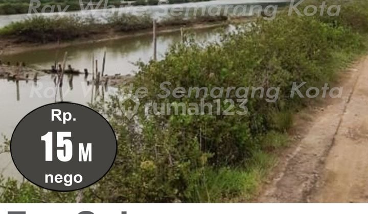 JUAL TAMBAK LT. 3,8 HEKTAR DI BULUSARI,SAYUNG,DEMAK.DIMENSI 200m X 200m.