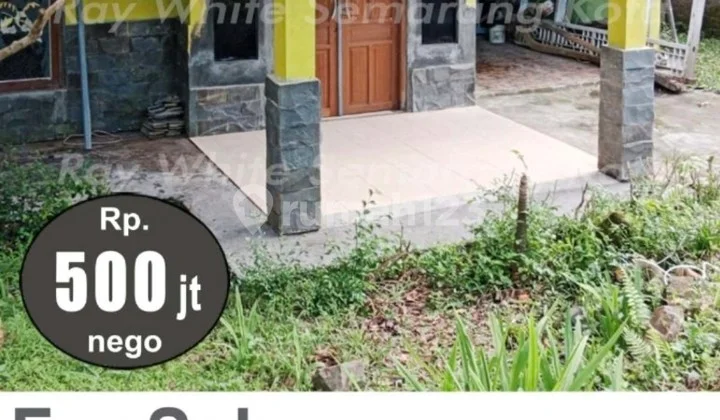 Price Drop!!! Ready-to-Occupy House in Bandungan. Ideal for Investment. Price Drop!!! Ready-to-Occupy House in Bandungan. Ideal for Investment.