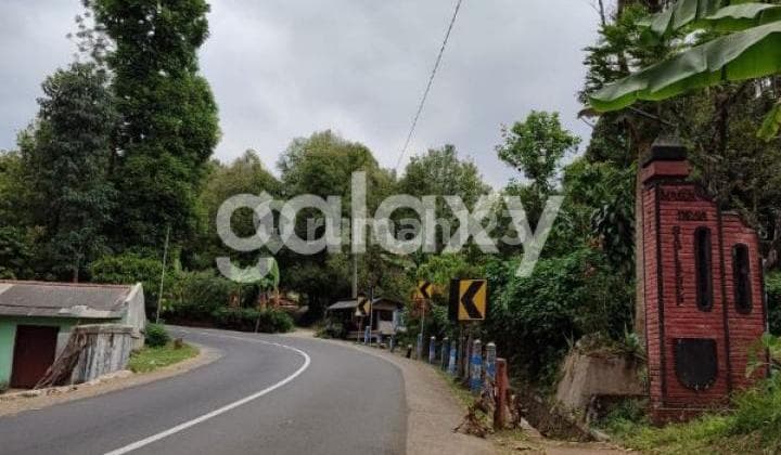 Lahan Dekat Plataran Bromo ( 37 Menit dari Puncak Bromo )