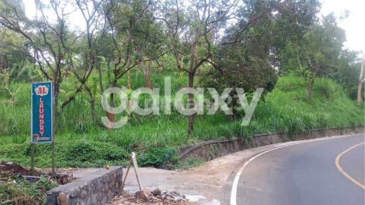 Tanah Lereng Gunung Bromo ( Desa Sukapura )