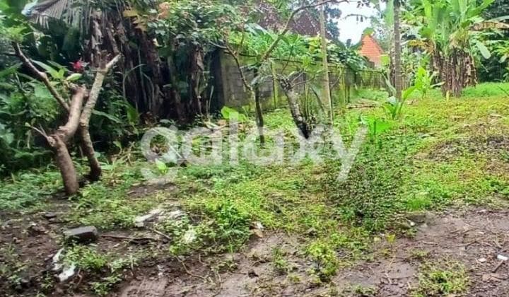 TANAH DI SAYANG UBUD GIANYAR, BALI