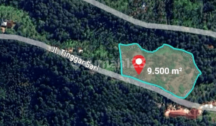 Tanah Kebun Duran di Tinggarsari Busung Biu Buleleng, Bali