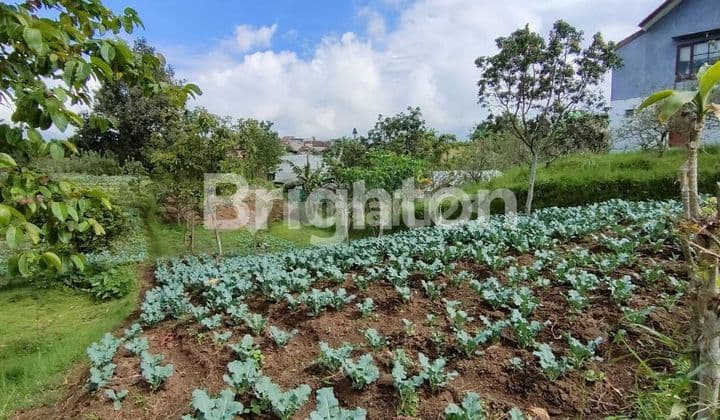 DIJUAL TANAH DI BUMIAJI BATU