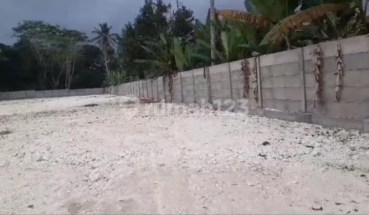 Disewakan Tanah Murah Luas 4230.0 M² Di Luwus Im