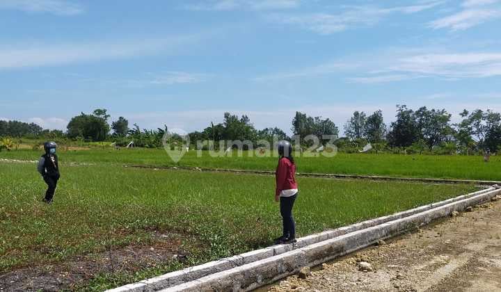 Tanah Leasehod Posisi Hook View Sawah di Kedungu Dd