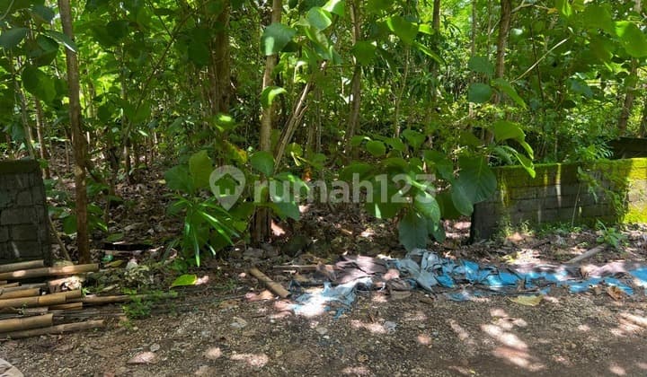 Dijual Cepat Tanah 3 Are Cocok Untuk Villa Di Kutuh Ipp