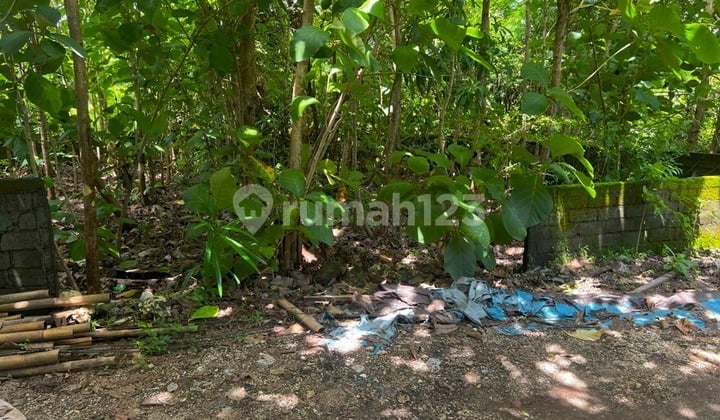 Quick Sale 3 Are Land Suitable for Villa in Kutuh Ipp