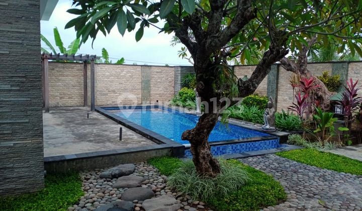 Villa Private Pool Halaman Luas Dekat Lovina Mnk