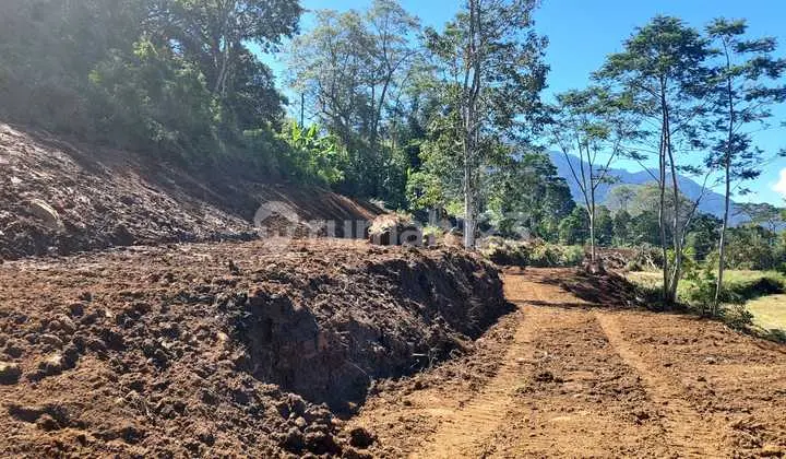 For Sale 6000 m² Land with Mountain Views in Bedugul, Bali