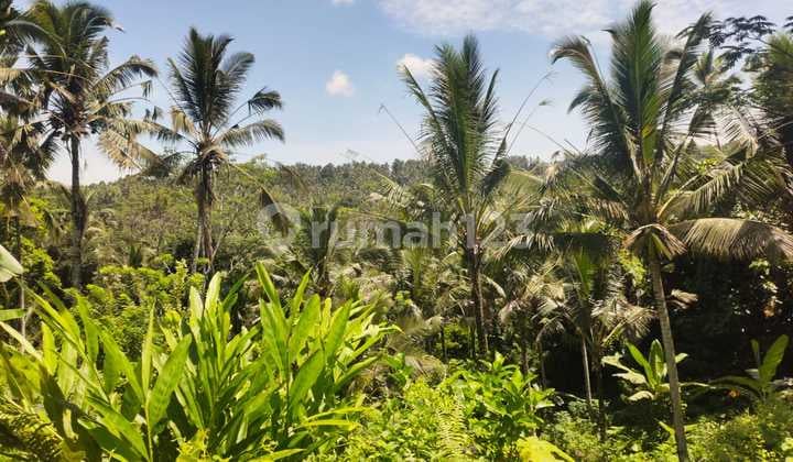 For Sale 3300 m² Land in Tabanan Dd