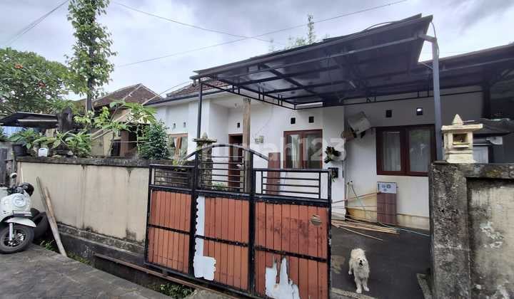 Siap Huni Rumah Murah Shm Di Mengwi Dd