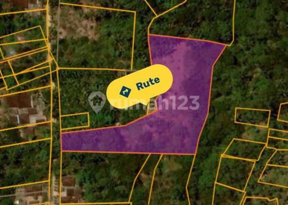 Land 120 Are SHM Suitable for Investment in Penebel Dk