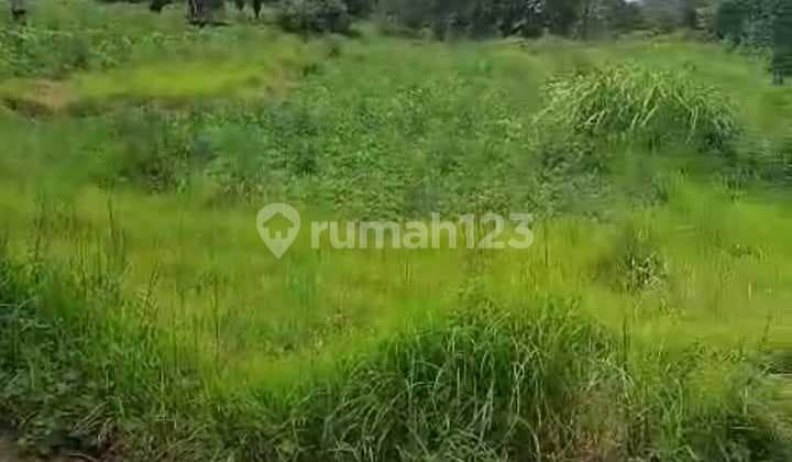 Dijual Tanah View Pantai Dan Gunung 1.8 Hektar Di Karangasem Jl