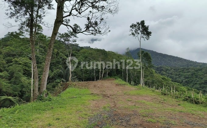 Tanah Free Bibit Durian Ocean View Sisa 6 Kavling Saja