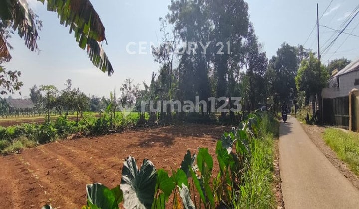 SHM Land Suitable for Cluster Development in Kayu Manis, Tanah Sereal, Bogor.