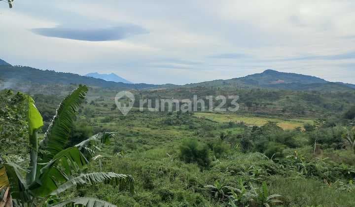 Dijual Tanah Luas untuk Villa dengan Pemandangan Indah ke Arah Lembah dan Perbukitan Sentul - Hambalang