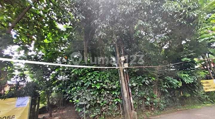 Jual Cepat Tanah Kebun Rindang di Sawangan, Depok