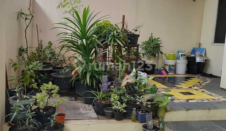 For Sale House in Duri Kepa, West Jakarta, Land Area 130 M2 (6.5 X 20) SHM Certificate, South Facing