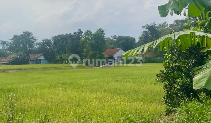 Tanah Kavling Padat SHM 935m2 di Legok Tangerang dekat Industri