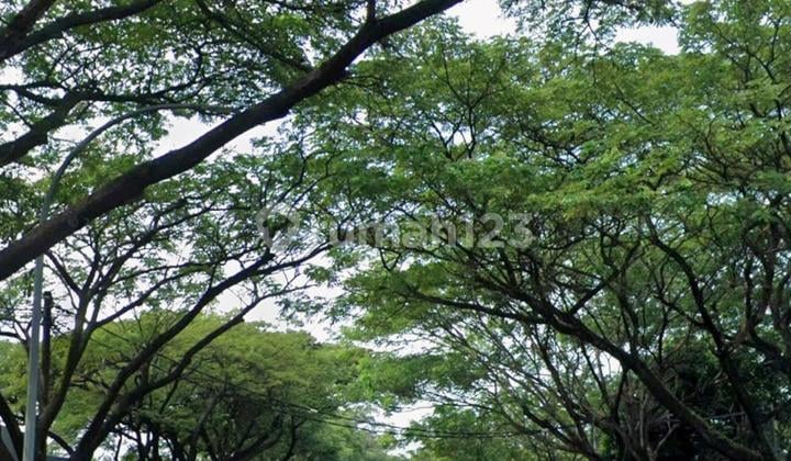 Rumah Hitung Tanah Kavling SHM Alam Sutera Elok Tangerang