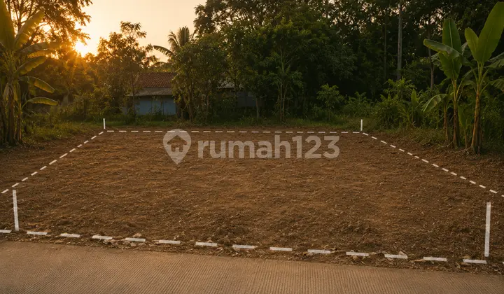 Potential Investment in Freehold Land Parcels in Ciparay!