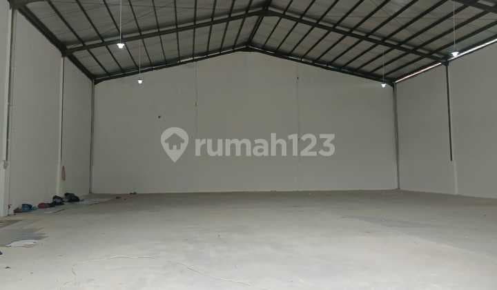 Limited Warehouse Plot DPR