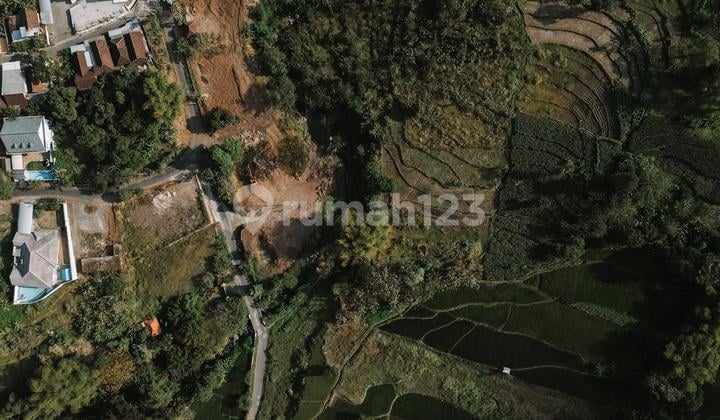 Tanah Luas 12.000 m² di Ketanireng, Taman Dayu Kanan, Prigen, Pasuruan, Jawa Timur (SHM)