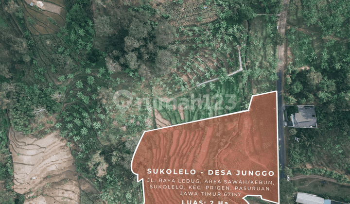 Dijual Tanah Harga Terjangkau Pemandangan Bukit Luas 23.000 m² di Jl. Raya Ledug, Prigen, Pasuruan, Jawa Timur (SHM)