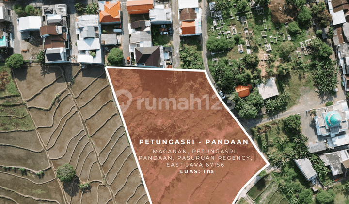 Harga Miring! Tanah Dekat Tol Cocok untuk Usaha dan Tinggal 7.352 m² di Pandaan, Pasuruan, Jawa Timur SHM