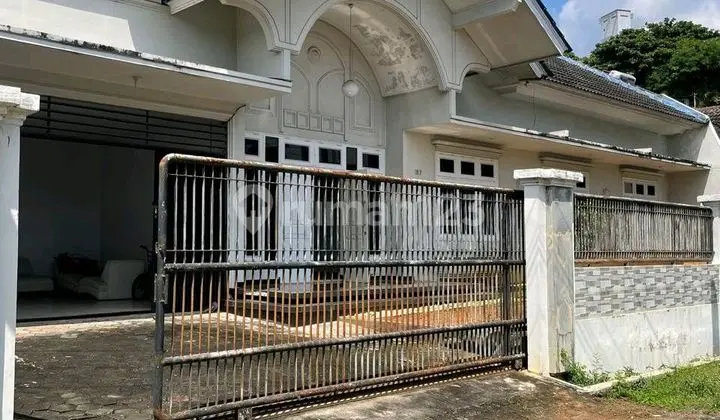 Kawasan Old Money