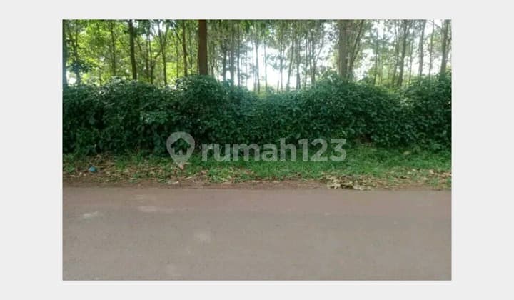 Commercial Land/Plot, Rambutan Garden, Cikaum, Subang, West Java