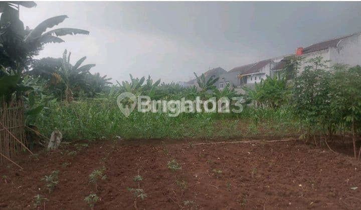 Jual Tanah Kavling Karangan Raya Gn. Putri Puspasari, Citeureup Bogor