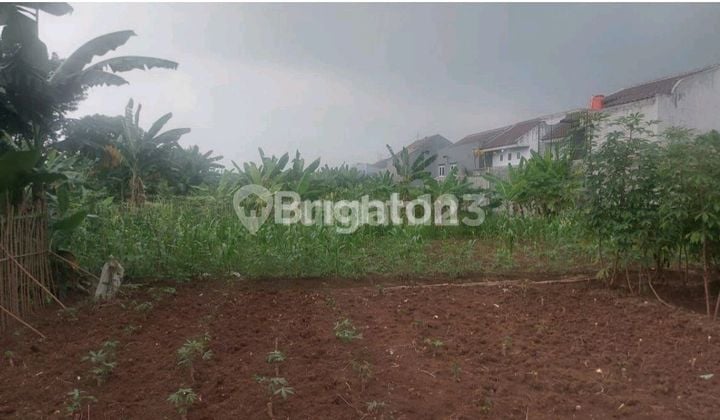 Jual Tanah Kavling Karangan Raya Gn. Putri Puspasari, Citeureup Bogor