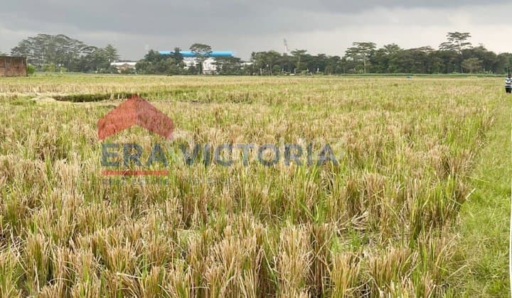 Lahan Strategis 5.000+ M² Pusat Pemerintahan dan Kuliner Kepanjen Dekat dengan Rsud Kanjuruhan