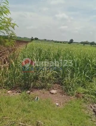 Dijual Lahan Masif 5.400+ M² Kawasan Asri Kediri Dekat Kolam Mancing Tirto Wilis