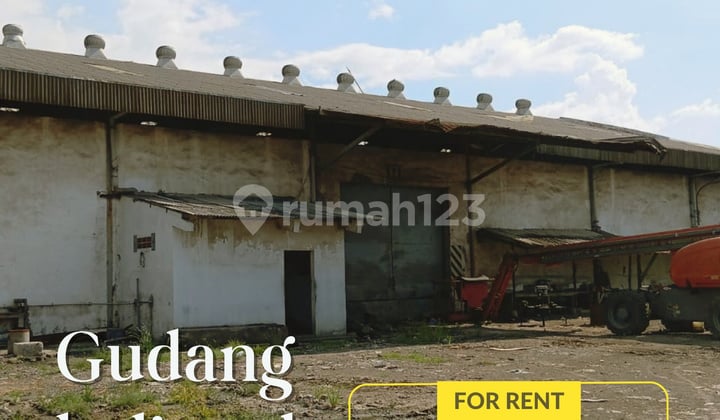 Sewa dan Jual Gudang Margomulyo Surabaya Jawa Timur