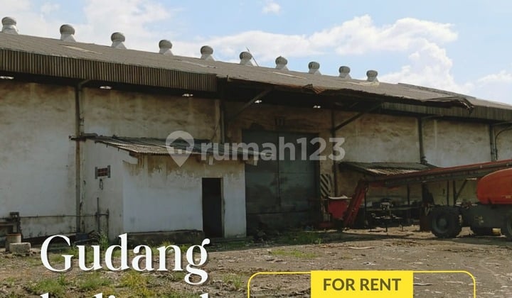 Sewa Gudang Margomulyo Surabaya Jawa Timur Ada Loading Dock