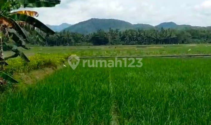 Tanah Pekarangan View Sawah,Rel Kereta, Pegunungan di Tawangsari Pengasih Kulon Progo