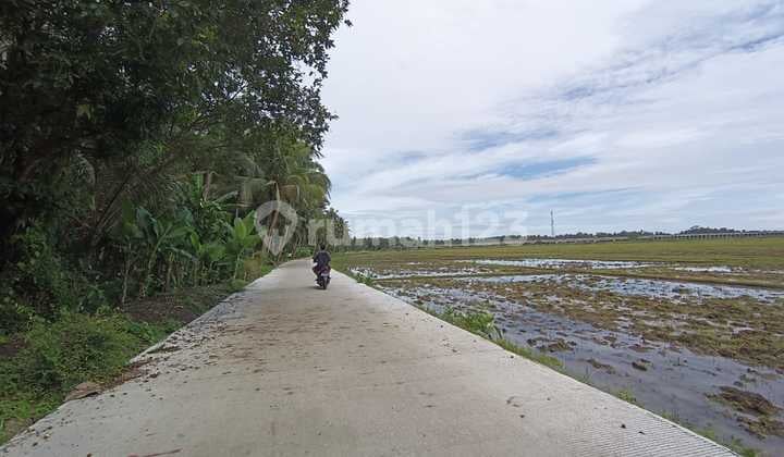 Pekarangan View Sawah,Perbukitan Menoreh,Rel Kereta Api di Temon Kulon Progo