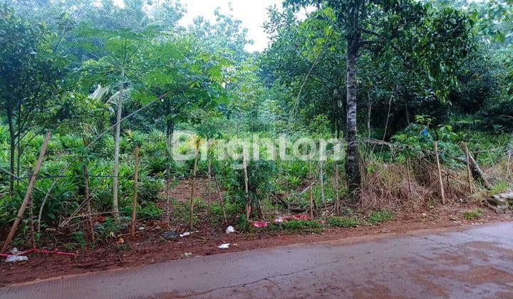 Tanah Kebun View Danau di Setu Bekasi