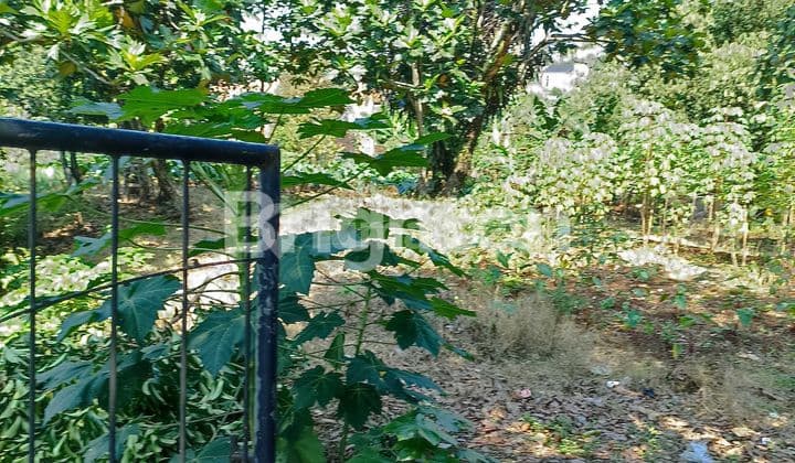 Murahhhh!!!! Tanah Darat di Tanah Sereal, Kota Bogor