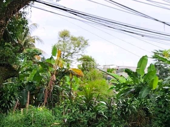 Land Area 1,200 M2 Rp 15 Million /m2 On Durian Street, Jagakarsa, South Jakarta Near International School