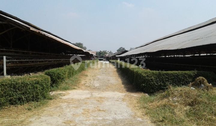 Tanah Luas 5,6 Hektar Di Cimuning, Bekasi